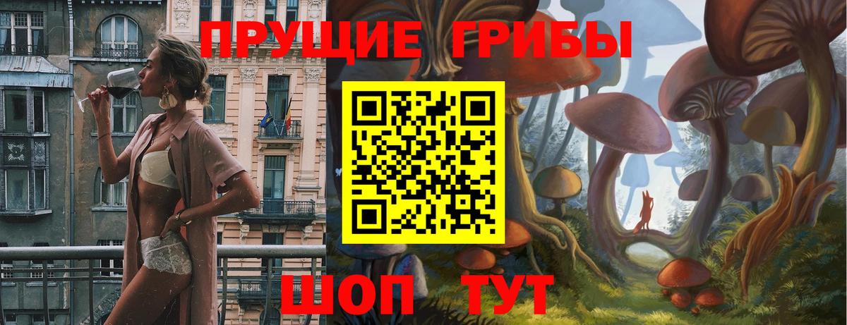 Галлюциногенные грибы GOLDEN TEACHER  Галлюциногенные грибы GOLDEN TEACHER  Ноябрьск  Вход с VPN 